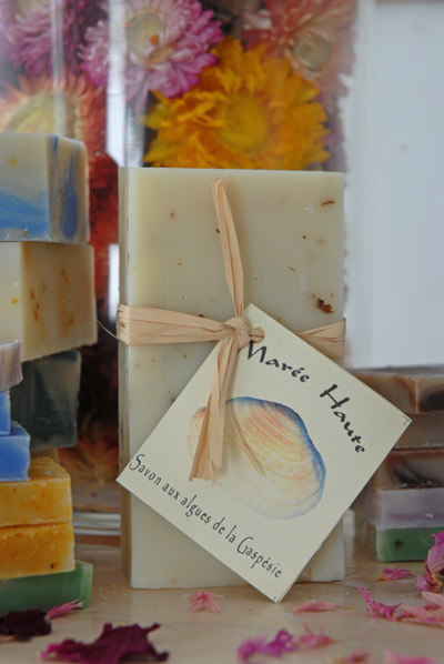 La marée haute (algues de la Gaspésie)